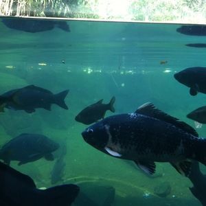 Meet your Posher, Johanna